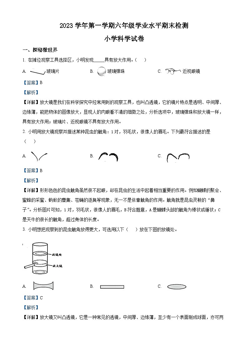 45，2023-2024学年浙江省温州市龙港市教科版六年级上册期末考试科学试卷01