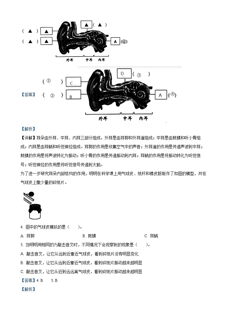 2023-2024学年浙江省温州市龙港市教科版四年级上册期末考试科学试卷02