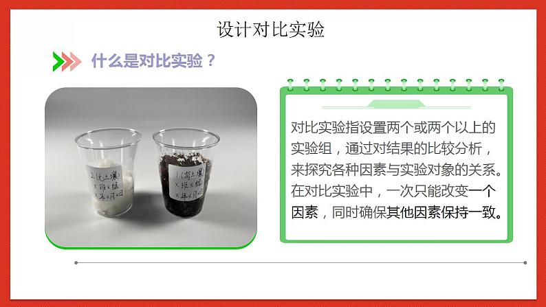 教科版科学五年级下册1.1《种子发芽实验》课件+教案+练习07