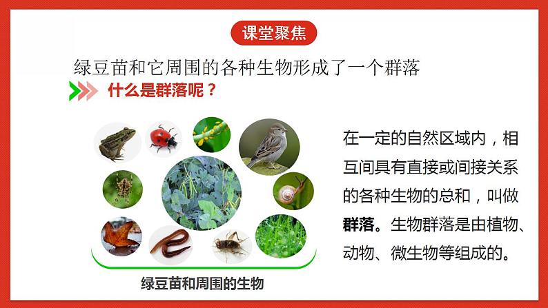 教科版科学五年级下册1.7《设计和制作生态瓶》课件+教案+练习04