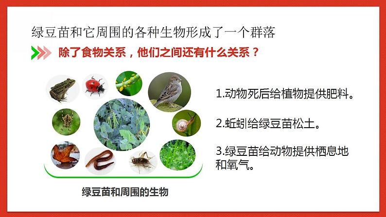 教科版科学五年级下册1.7《设计和制作生态瓶》课件+教案+练习05