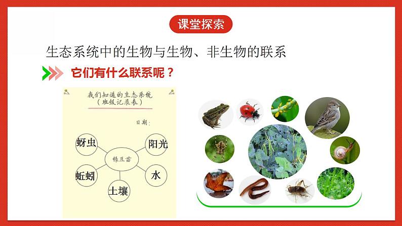 教科版科学五年级下册1.7《设计和制作生态瓶》课件+教案+练习07