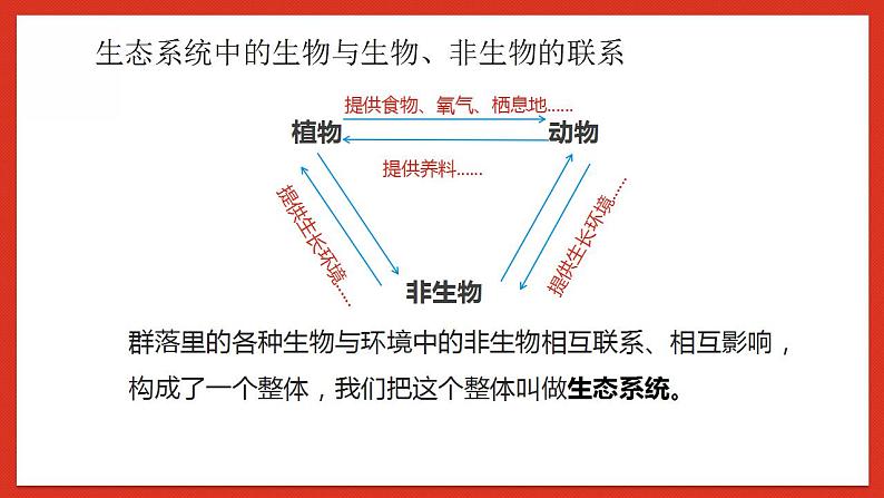 教科版科学五年级下册1.7《设计和制作生态瓶》课件+教案+练习08