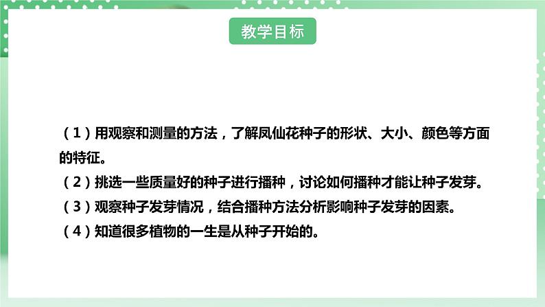 【核心素养】人教鄂教版科学三年级下册 2.4《播种发芽》课件第4页