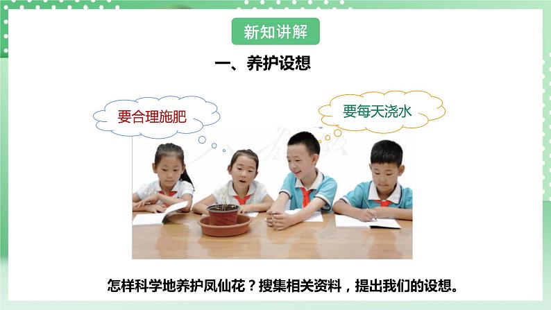 【核心素养】人教鄂教版科学三年级下册 2.5《养护凤仙花》课件第8页