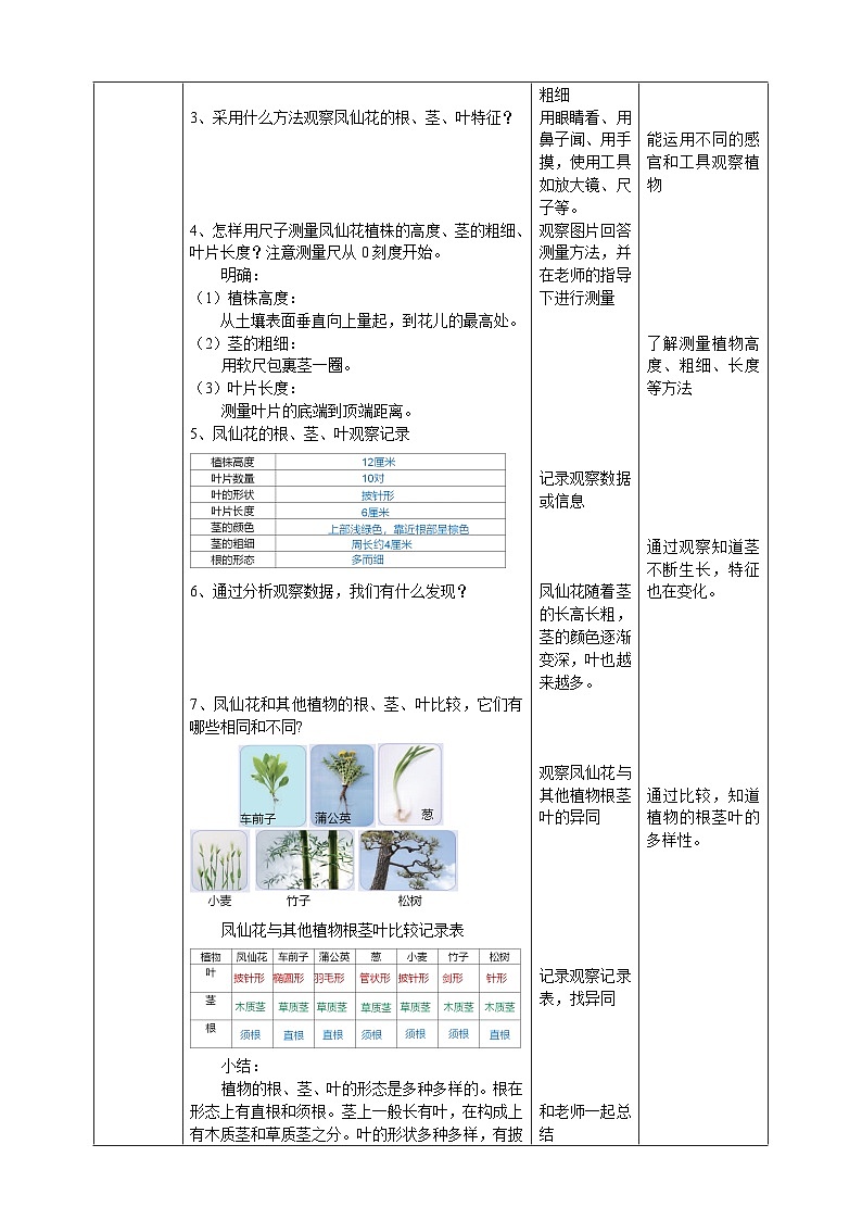 【核心素养】人教鄂教版科学三年级下册 2.6《根茎叶》课件+教案+分层练习02