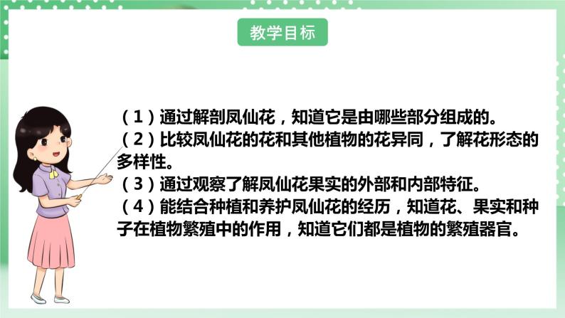 【核心素养】人教鄂教版科学三年级下册 2.7《花果实种子》课件+教案+分层练习04