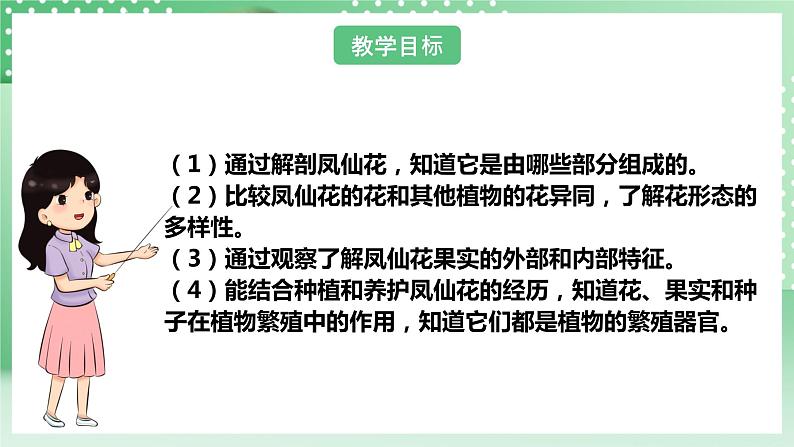 【核心素养】人教鄂教版科学三年级下册 2.7《花果实种子》课件+教案+分层练习04