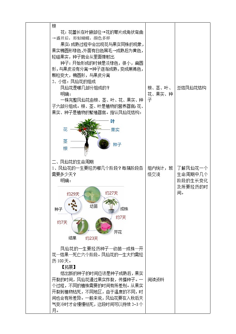 【核心素养】人教鄂教版科学三年级下册 2.8《凤仙花的一生》教案第2页