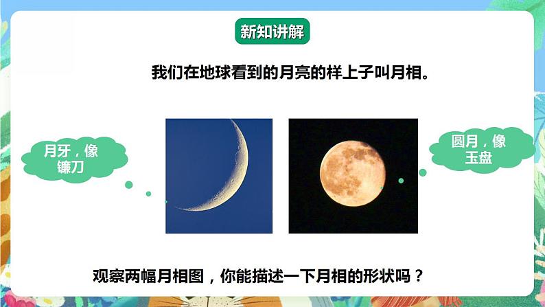 【核心素养】人教鄂教版科学二年级下册2.5《月亮》课件+教案+分层练习06