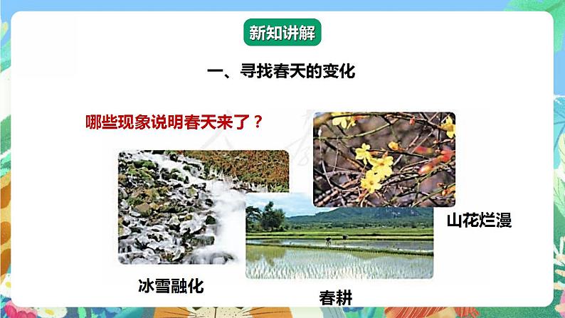 【核心素养】人教鄂教版科学二年级下册2.6《春夏秋冬》课件+教案+分层练习05
