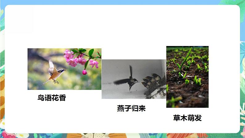 【核心素养】人教鄂教版科学二年级下册2.6《春夏秋冬》课件+教案+分层练习06