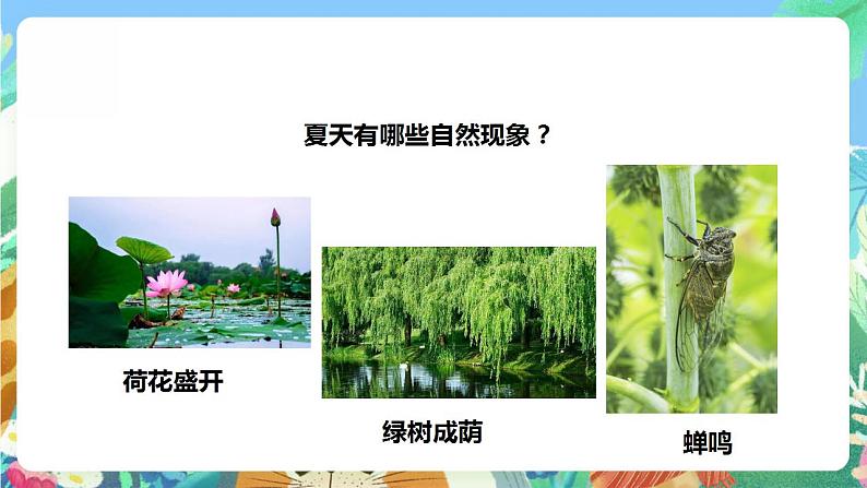 【核心素养】人教鄂教版科学二年级下册2.6《春夏秋冬》课件+教案+分层练习08