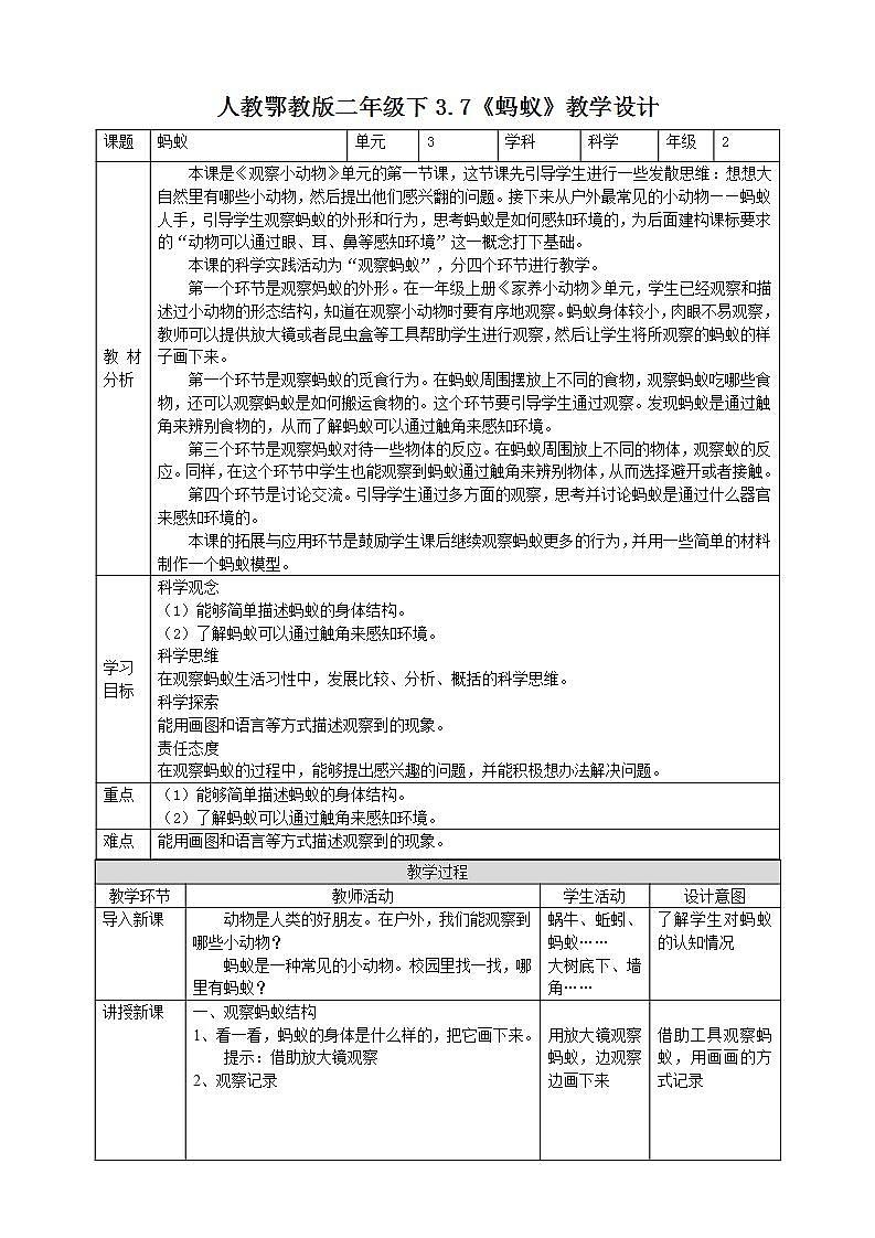 【核心素养】人教鄂教版科学二年级下册3.7《蚂蚁》课件+教案+分层练习01