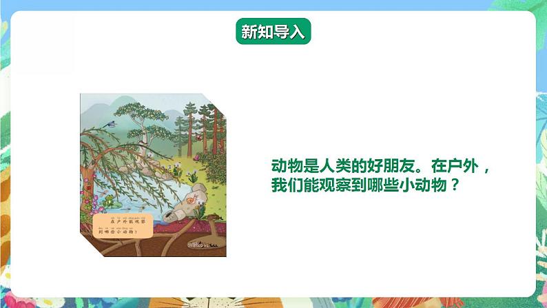 【核心素养】人教鄂教版科学二年级下册3.7《蚂蚁》课件+教案+分层练习03