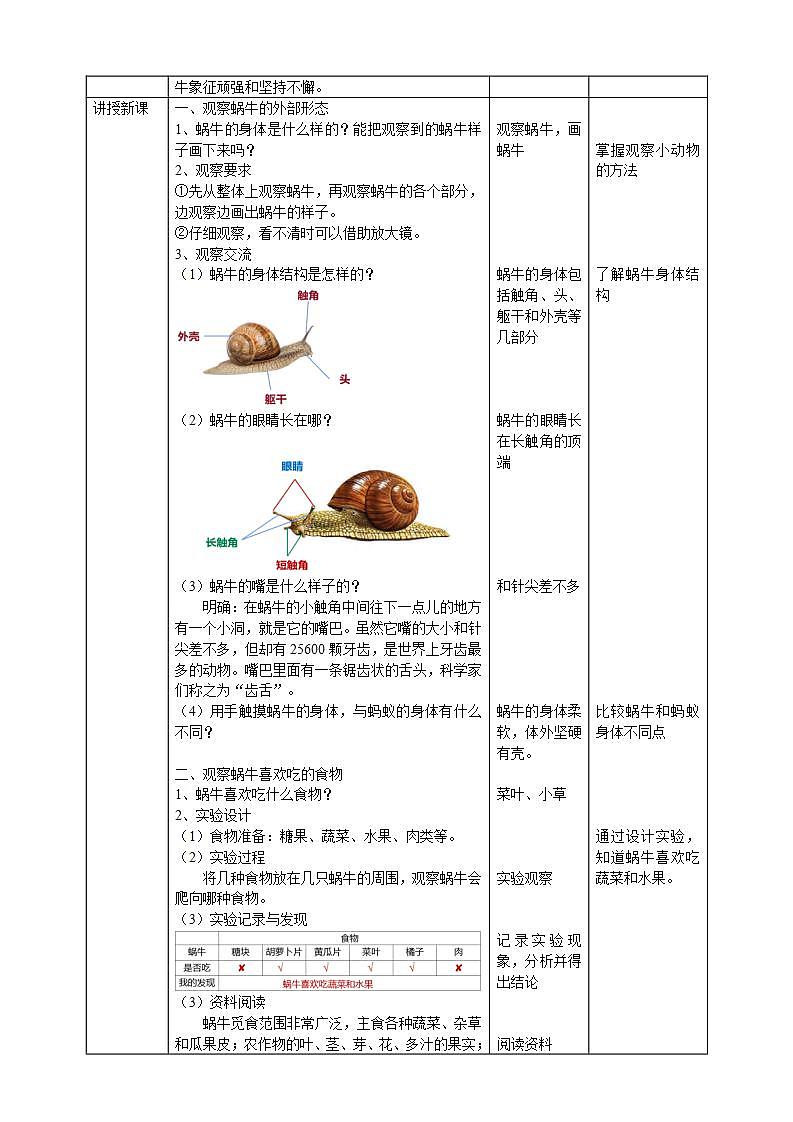 【核心素养】人教鄂教版科学二年级下册3.8《蜗牛》课件+教案+分层练习02