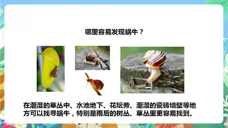 【核心素养】人教鄂教版科学二年级下册3.8《蜗牛》课件+教案+分层练习04