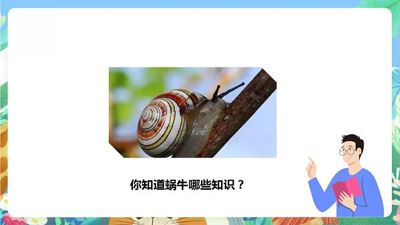 【核心素养】人教鄂教版科学二年级下册3.8《蜗牛》课件+教案+分层练习05