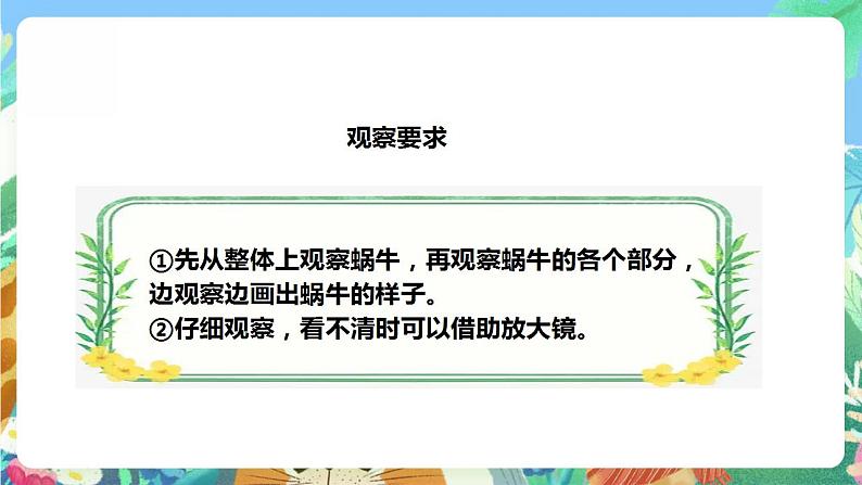 【核心素养】人教鄂教版科学二年级下册3.8《蜗牛》课件+教案+分层练习08