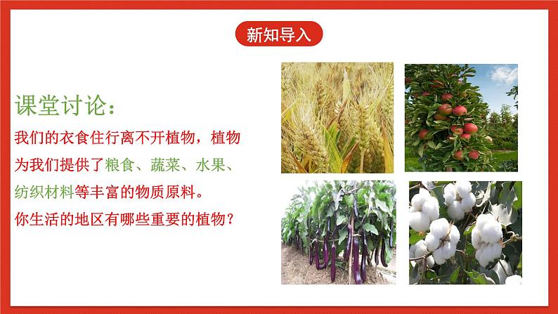 冀人版科学三年级下册 3《植物与我们的生活》课件+教案+练习04