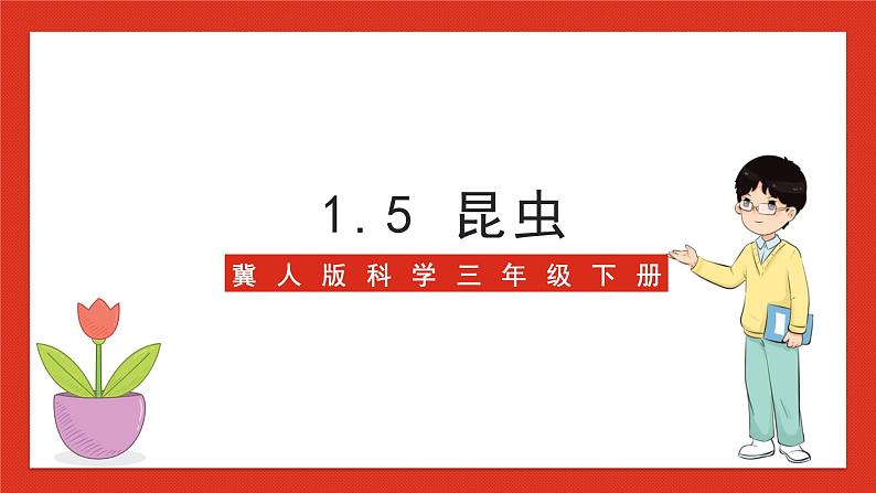 冀人版科学三年级下册 5《昆虫》课件+教案+练习01