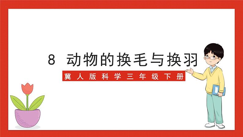 冀人版科学三年级下册 8《动物的换毛与换羽》课件+教案+练习01