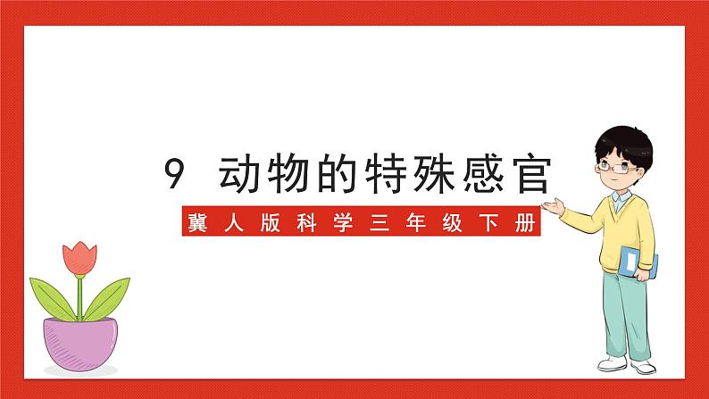 冀人版科学三年级下册 9《动物的特殊感官》课件+教案+练习01