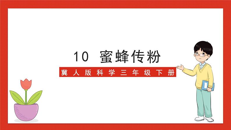 冀人版科学三年级下册 10《蜜蜂传粉》课件+教案+练习01