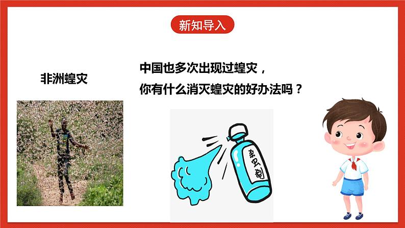 冀人版科学三年级下册 12《杀虫剂对生物的影响》课件+教案+练习04