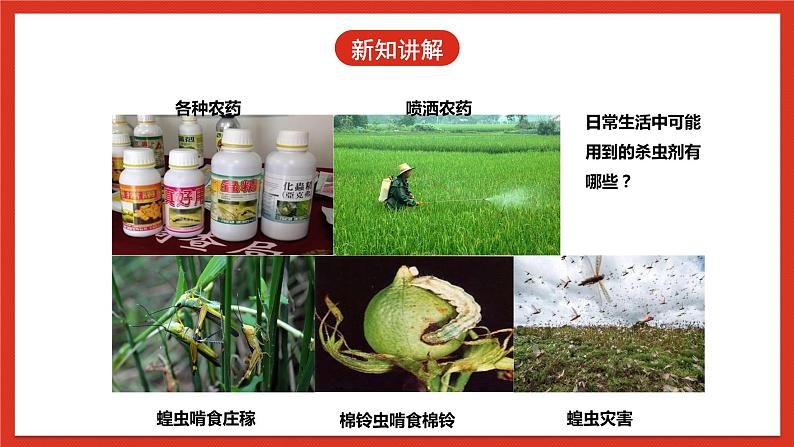冀人版科学三年级下册 12《杀虫剂对生物的影响》课件+教案+练习07
