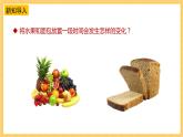 蘇教版科學五年級下冊 1.3發(fā)霉與防霉 教學課件+同步教案