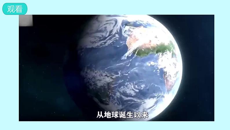 苏教版科学六年级下册 5.多样的栖息地 教学课件04