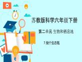 苏教版科学六年级下册 7.做个生态瓶 教学课件