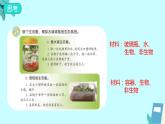 蘇教版科學(xué)六年級(jí)下冊(cè) 7.做個(gè)生態(tài)瓶 教學(xué)課件