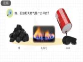 苏教版科学六年级下册 3.10煤、石油和天然气 教学课件