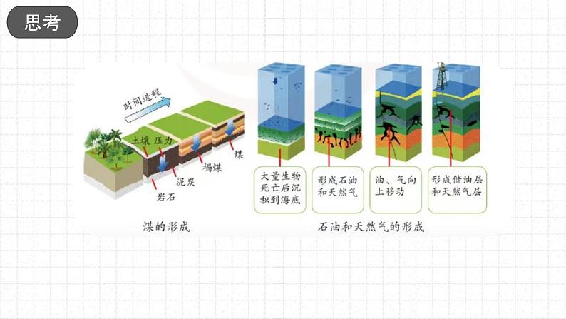 苏教版科学六年级下册 3.10煤、石油和天然气 教学课件第5页