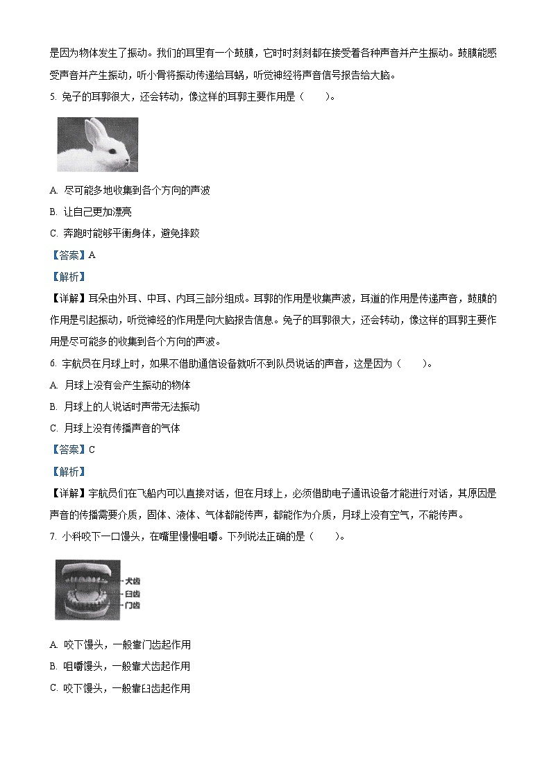 2023-2024学年浙江省温州市瓯海区教科版四年级上册期末考试科学试卷02