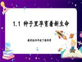 【核心素养目标】1.1 种子里孕育着新生命（课件+教案+素材）