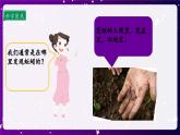 【核心素养目标】1.4 蚯蚓的选择（课件+教案+素材）