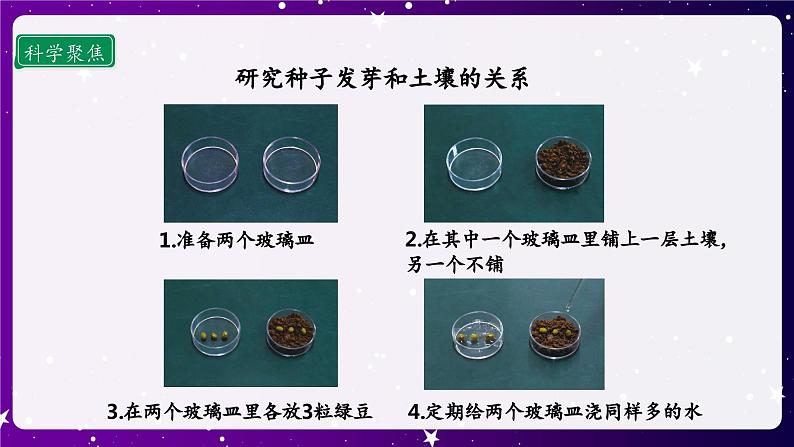 1.2 比较种子发芽实验  课件第4页