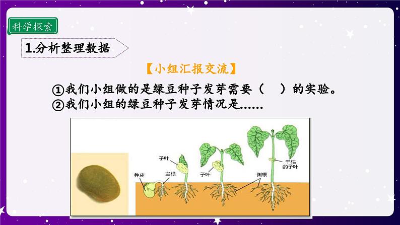 1.2 比较种子发芽实验  课件第8页