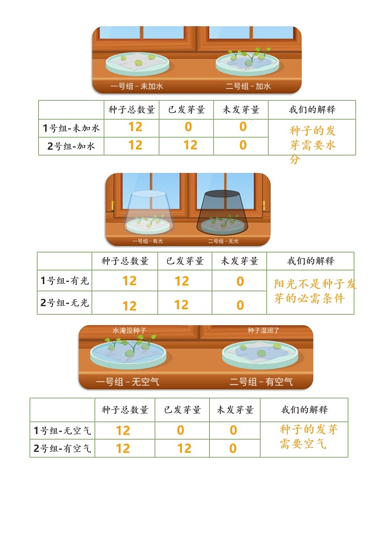 （核心素养目标）1.2 比较种子发芽实验  教案设计第3页