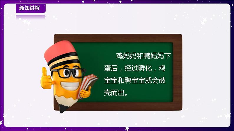 青岛版小学科学一年级下册第二单元《认识周围的动物》—7.小动物找妈妈（课件）第6页