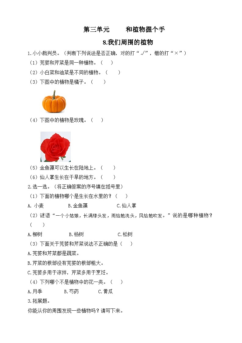 【青岛版六三制】一下科学  3.8 我们周围的植物 课件+教案+练习01