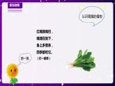【青岛版六三制】一下科学  3.8 我们周围的植物 课件+教案+练习