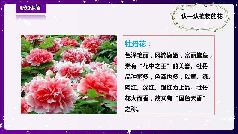 【青岛版六三制】一下科学  3.9看花认植物 课件+教案+练习06