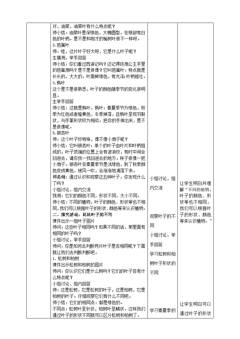 【青岛版六三制】一下科学  3.10 看叶认植物 课件+教案+练习02