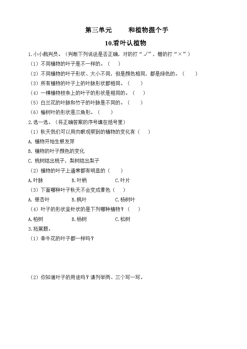【青岛版六三制】一下科学  3.10 看叶认植物 课件+教案+练习01