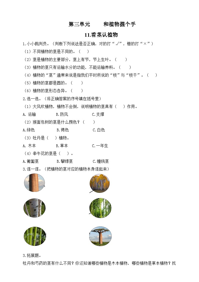 【青岛版六三制】一下科学  3.11 看茎认植物 课件+教案+练习01
