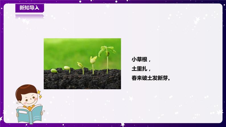 【青岛版六三制】一下科学  4.12 土壤与植物 课件+教案+练习02